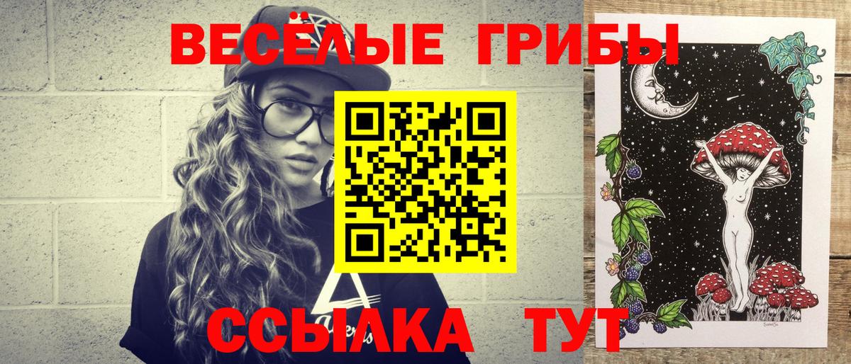 где купить наркоту  Галлюциногенные грибы мухоморы  Котовск  Вход с VPN  Псилоцибиновые грибы Magic Shrooms 