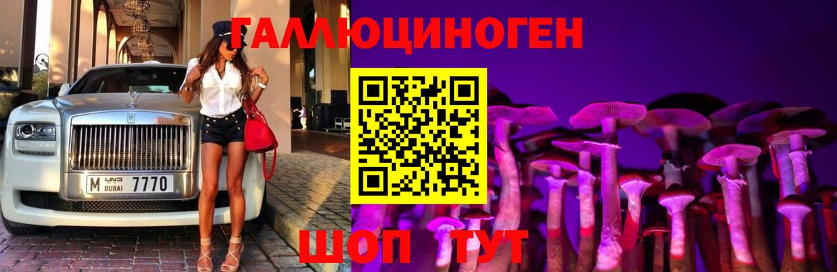 Галлюциногенные грибы GOLDEN TEACHER Котовск