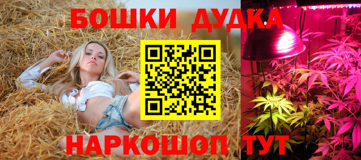 Каннабис индика  Вход с VPN  Бошки Шишки SATIVA & INDICA  МАРИХУАНА VHQ  Котовск 